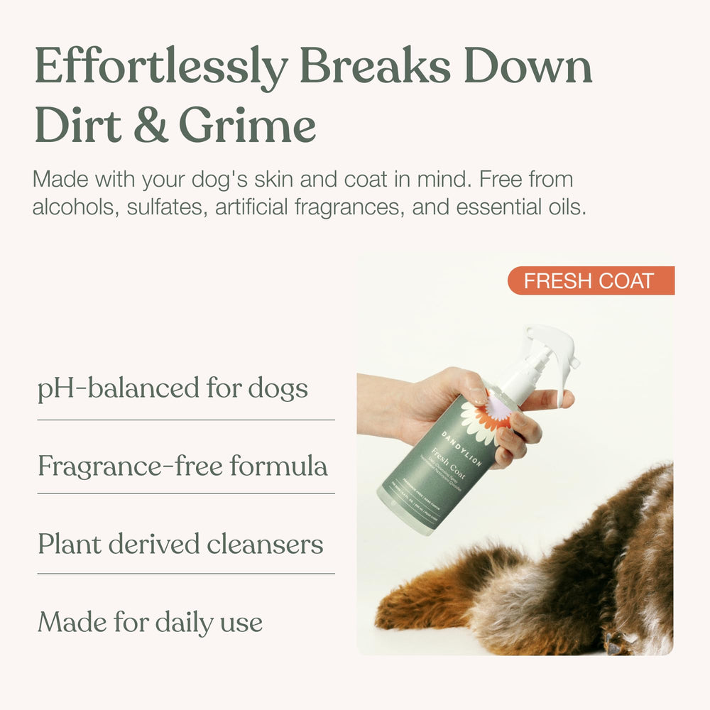 Dandylion Fresh Coat en usage sur chien à poil long pour désincruster saleté