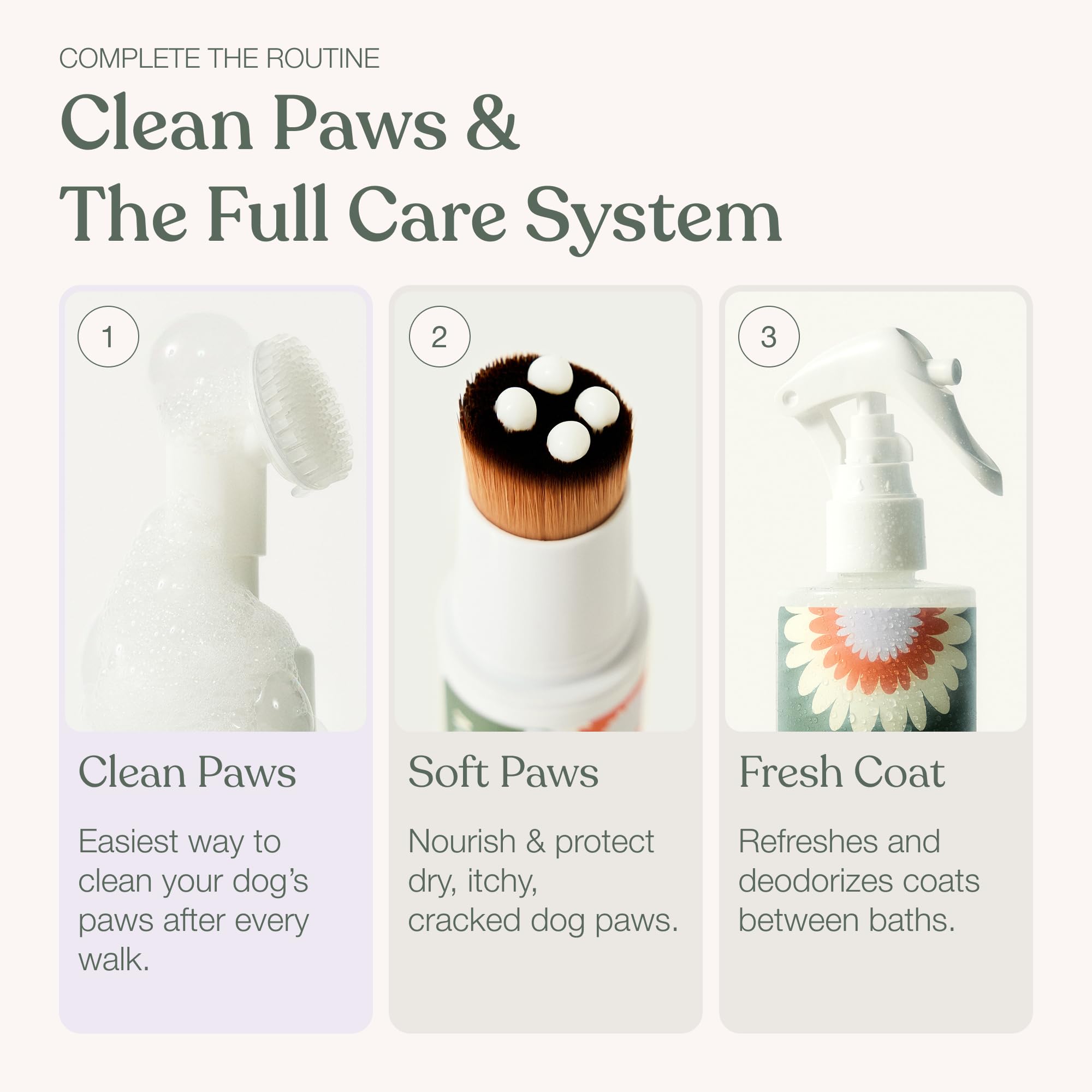 Dandylion chien dans salon propre après utilisation pratique