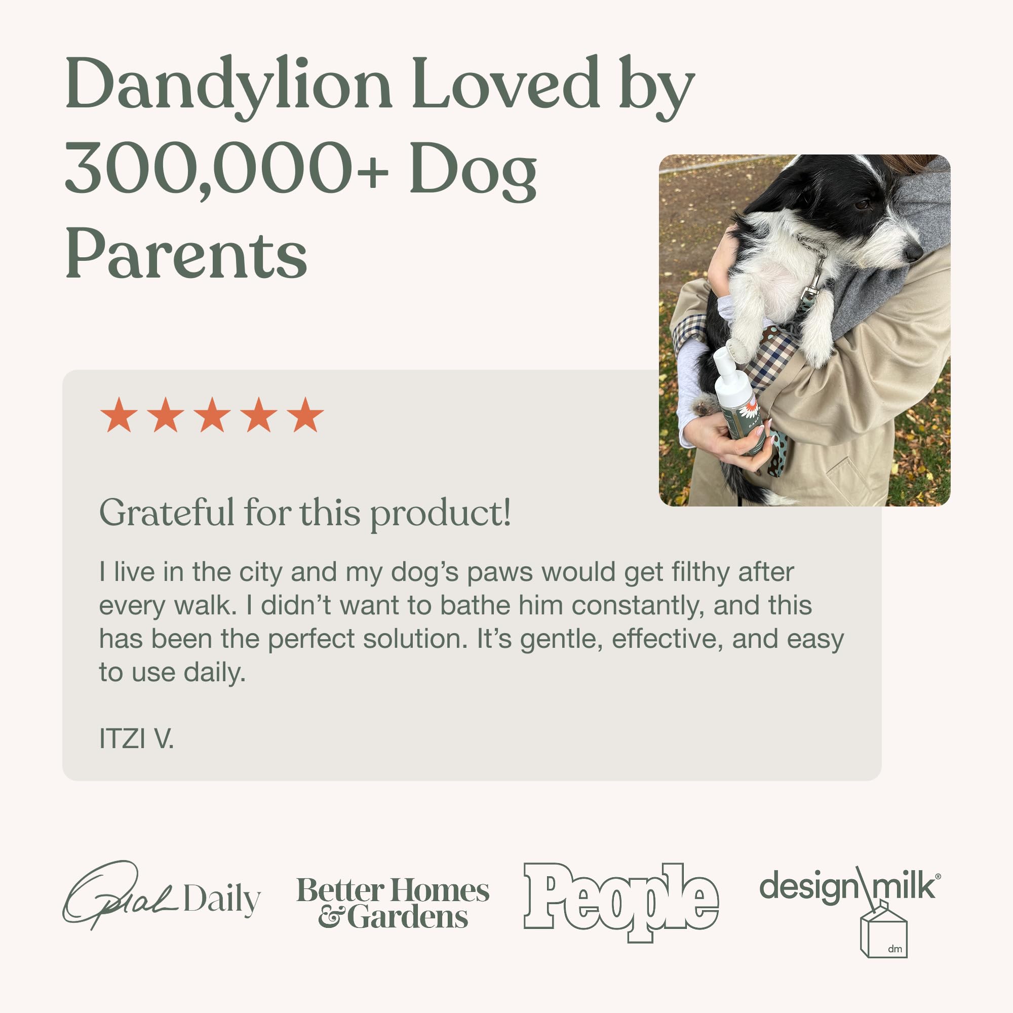 Dandylion flacon et recharge 10 oz réutilisable pour économie