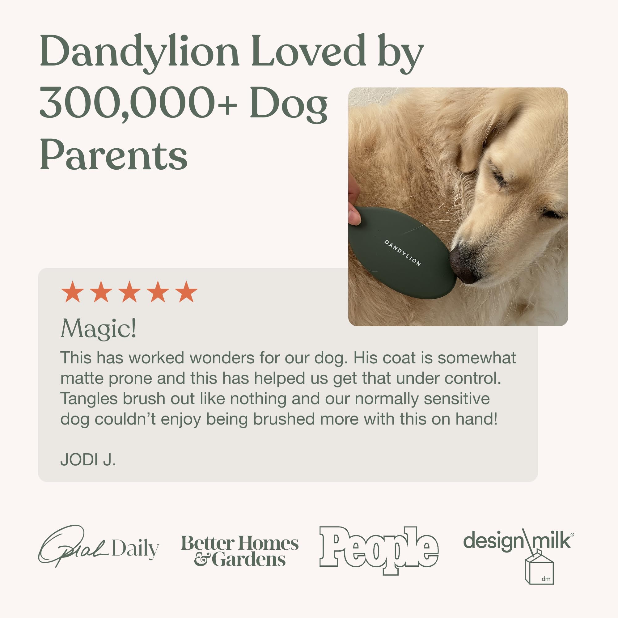 Dandylion moment de toilettage en intérieur réduisant stress du chien