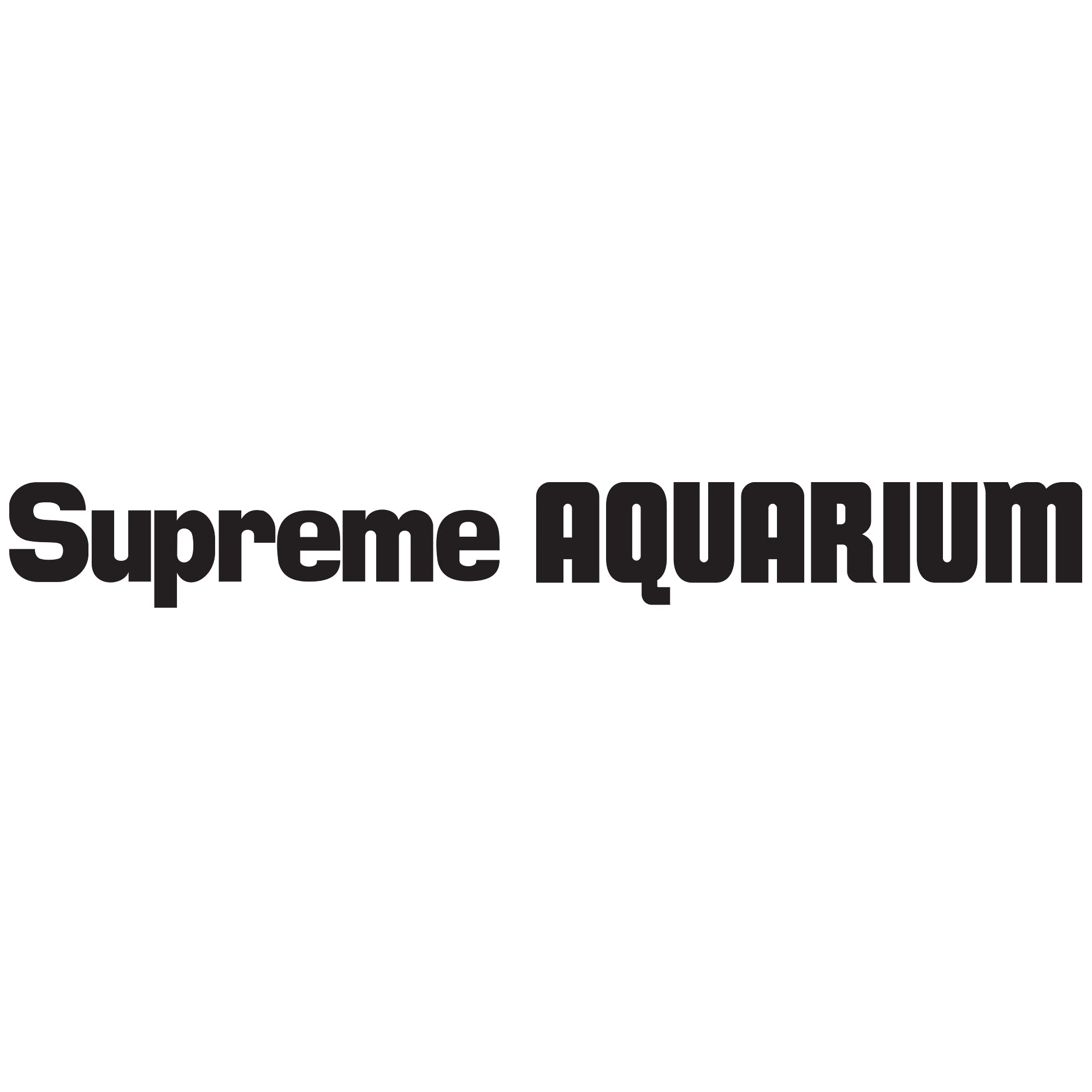 Danner pompe installée submergée dans un aquarium pour circulation fiable 24/7
