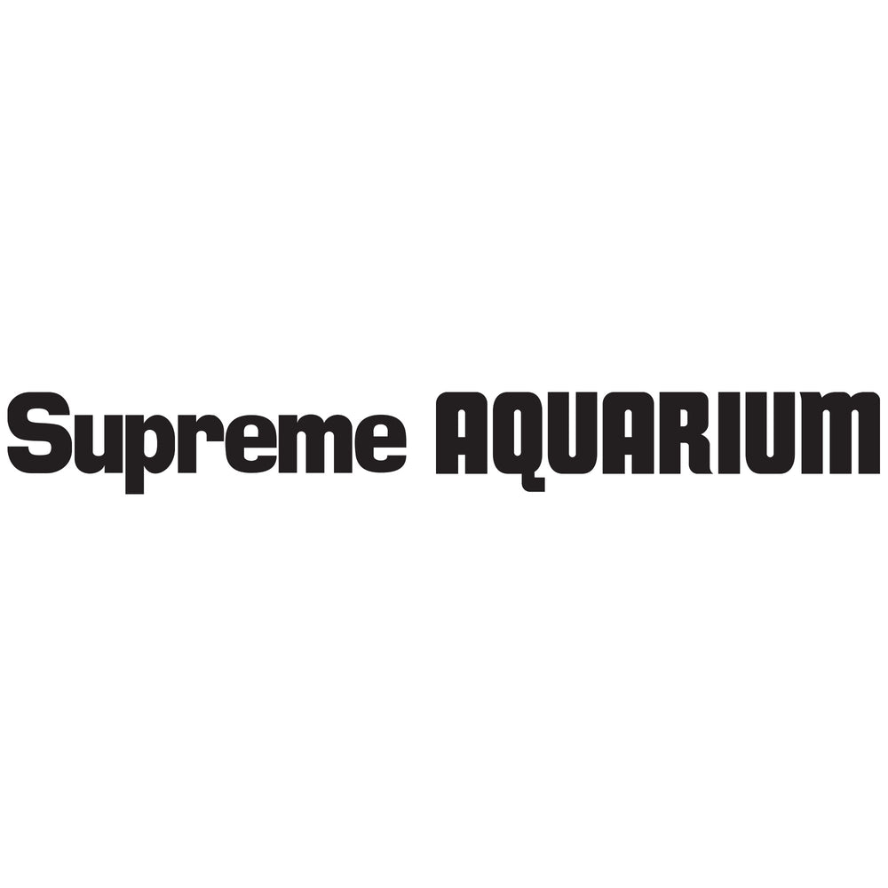Danner pompe installée submergée dans un aquarium pour circulation fiable 24/7