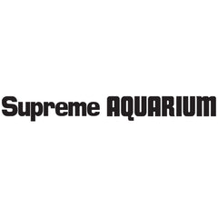 Danner pompe installée submergée dans un aquarium pour circulation fiable 24/7