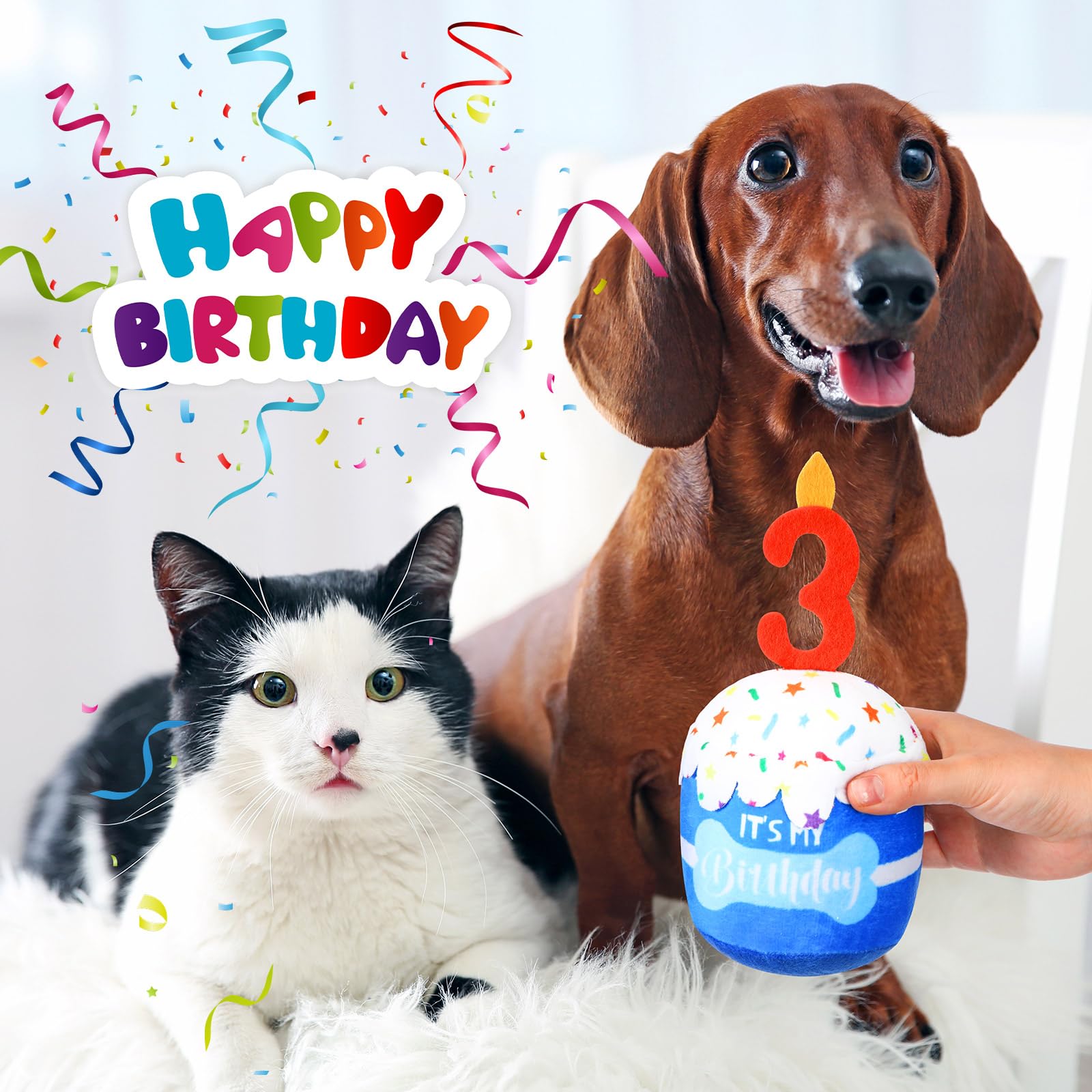 Dansydaisy côté chiffre 3D sur la peluche pour thème anniversaire