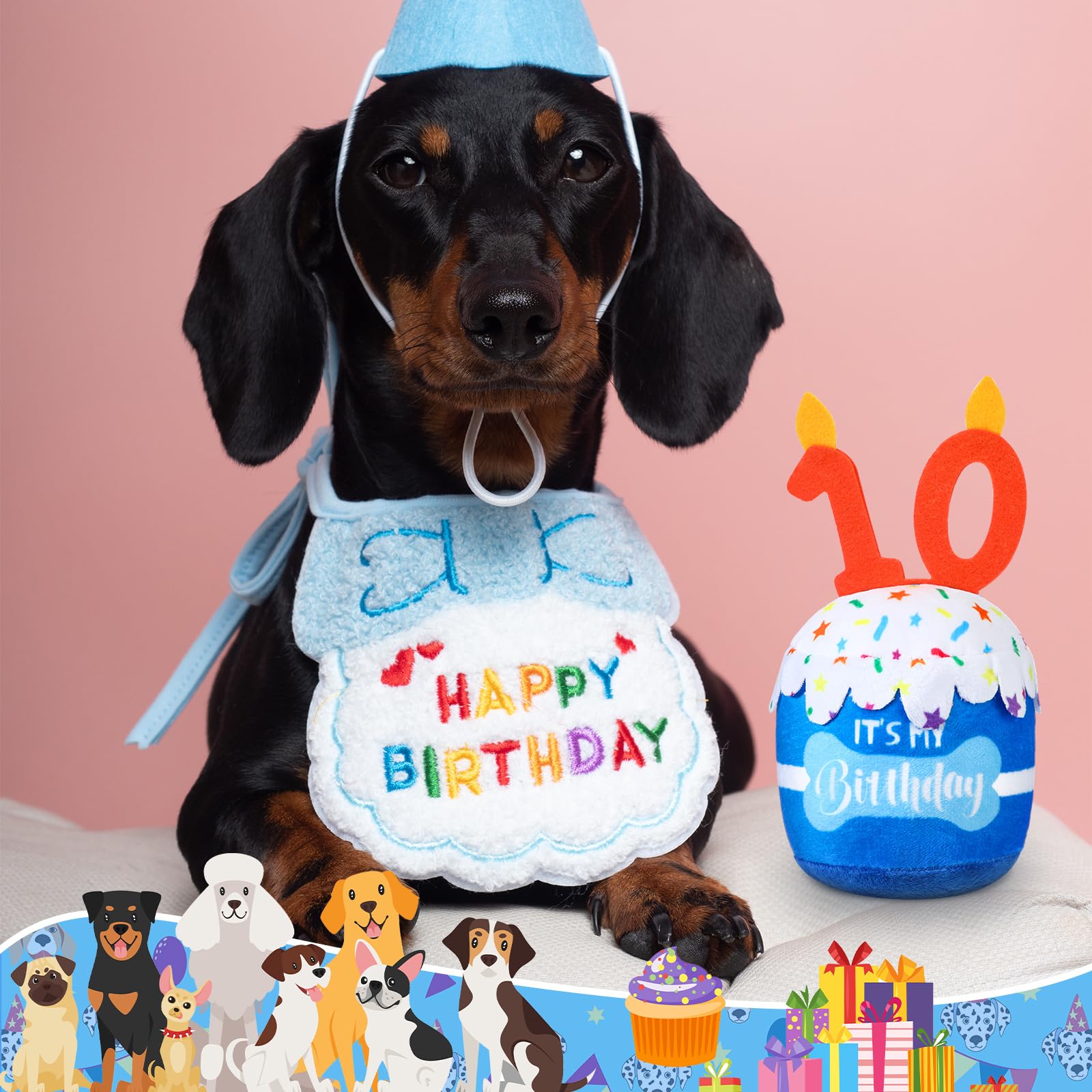 Dansydaisy en usage chien joue : chien jouant avec le gâteau pour moments joyeux