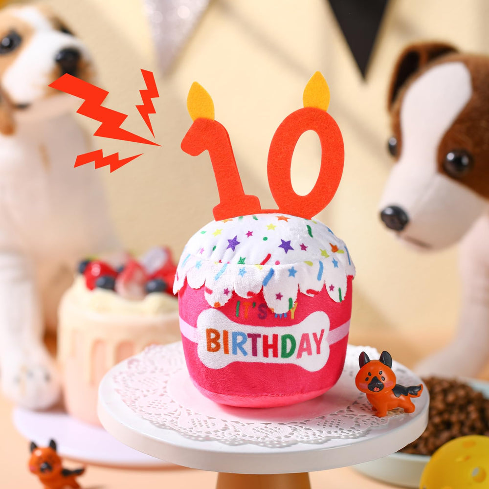 Dansydaisy mise en scène fête, décoration photogénique pour anniversaire