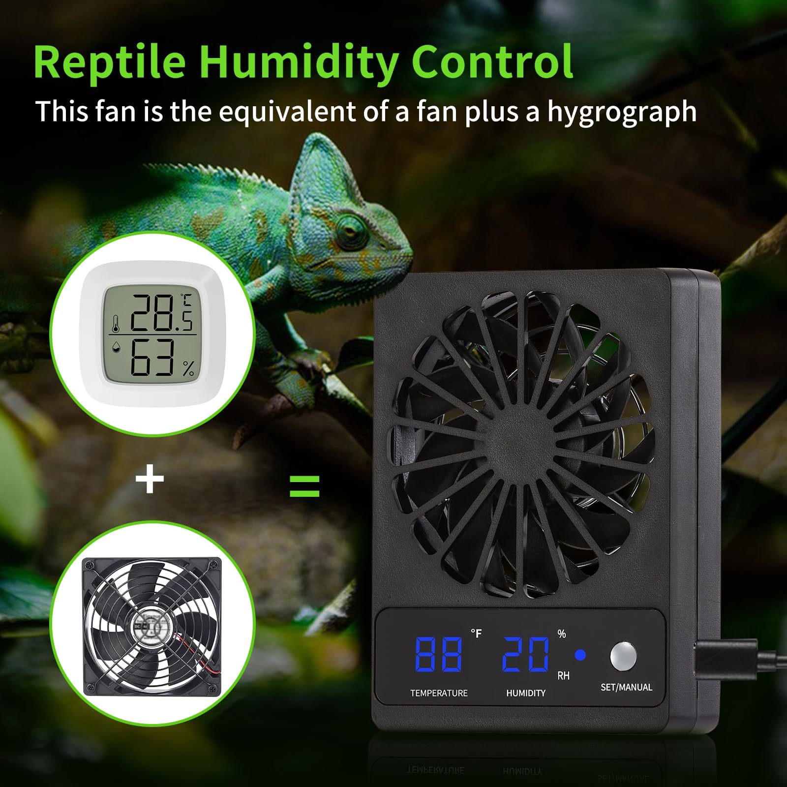 DAOTAILI ventilateur en terrarium avec un agame barbu confortable