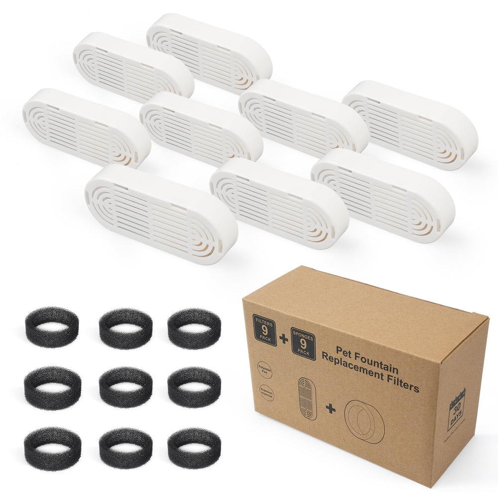 Daoxuan échelle taille avec objet commun compare dimensions pour vérification compatibilité