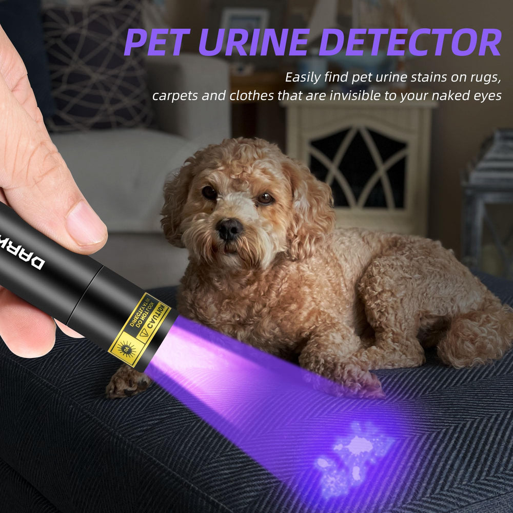 DARKBEAM torche UV en usage révélant taches sur un matelas pour inspection
