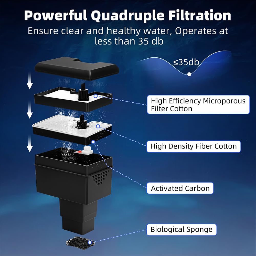 DaToo mini aquarium avec betta illustrant habitat apaisant