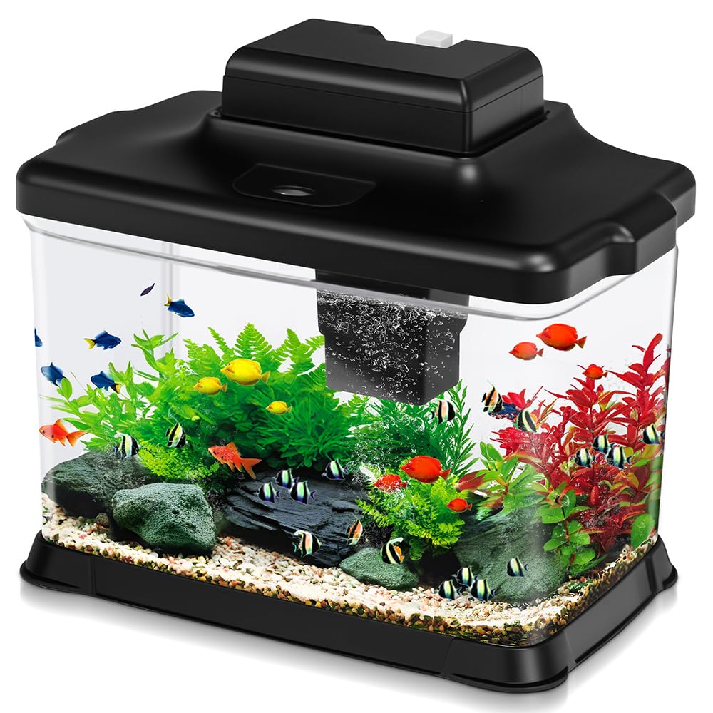 DaToo aquarium face avant montrant clarté UHD et vue immersive