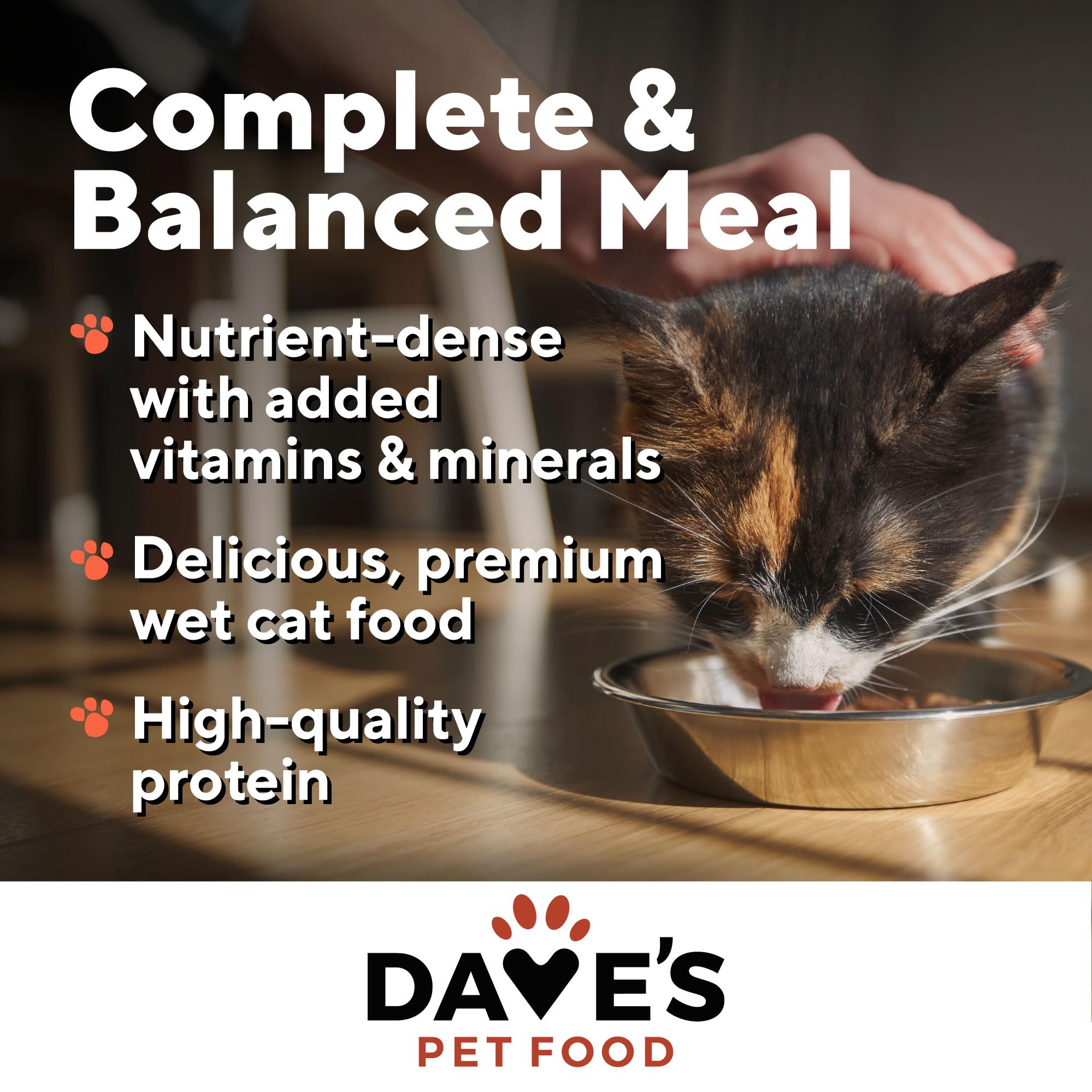 Dave's Pet Food boîte ouverte et portion dans assiette facilitant le service