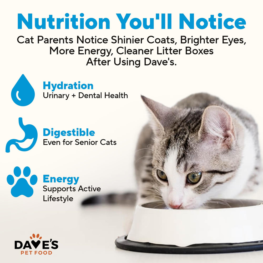 Dave's Pet Food boîte ouverte révélant la pâtée prête à servir