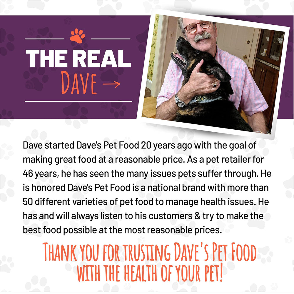 Dave's Pet Food chat mange en intérieur illustrant plaisir et hydratation