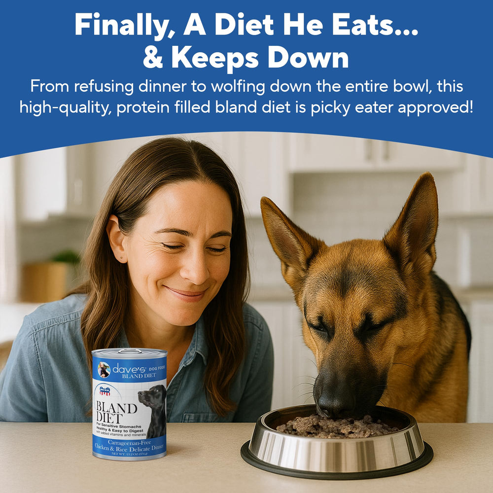 Chien mangeant Dave's Pet Food pâté de poulet, illustre appétence et digestion douce