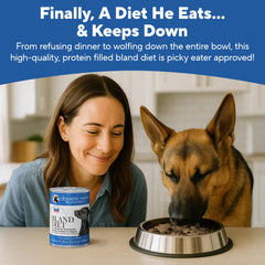 Chien mangeant Dave's Pet Food pâté de poulet, illustre appétence et digestion douce