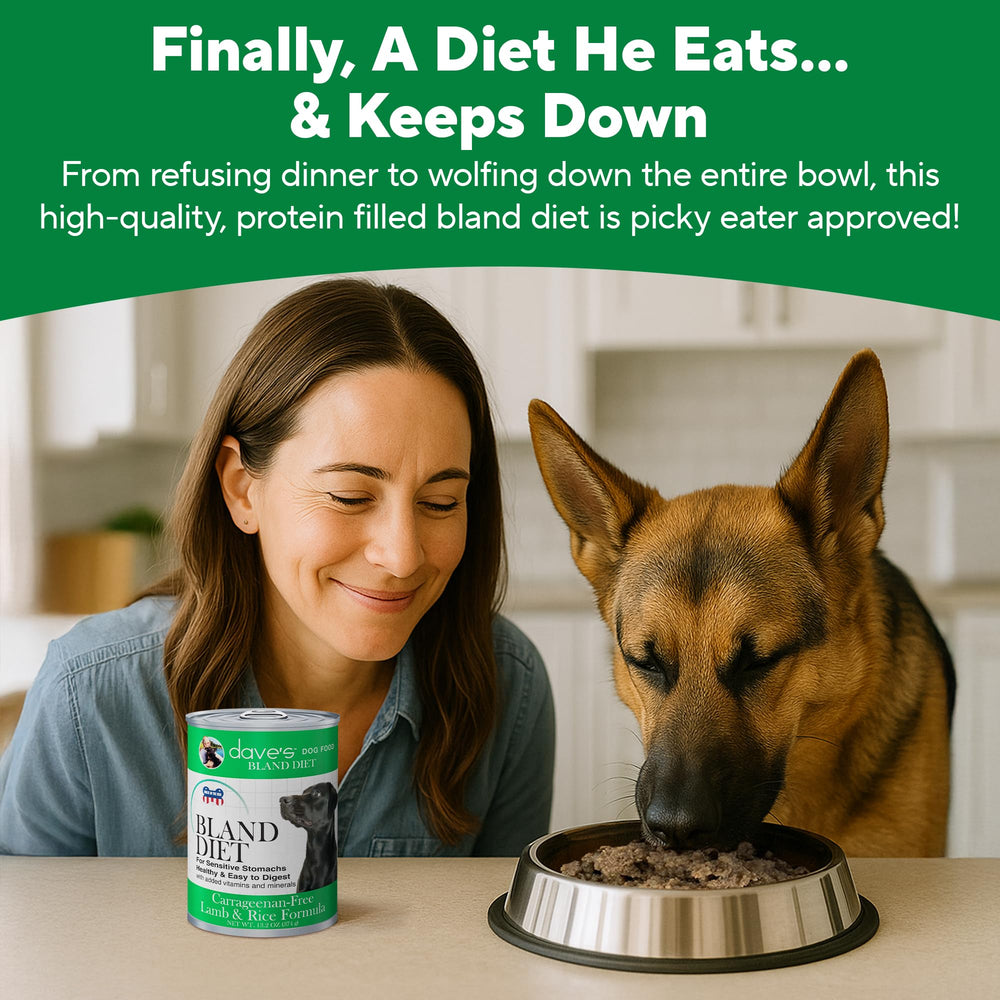 Dave's Pet Food boîte à côté d'une règle pour illustrer taille et portion pratique