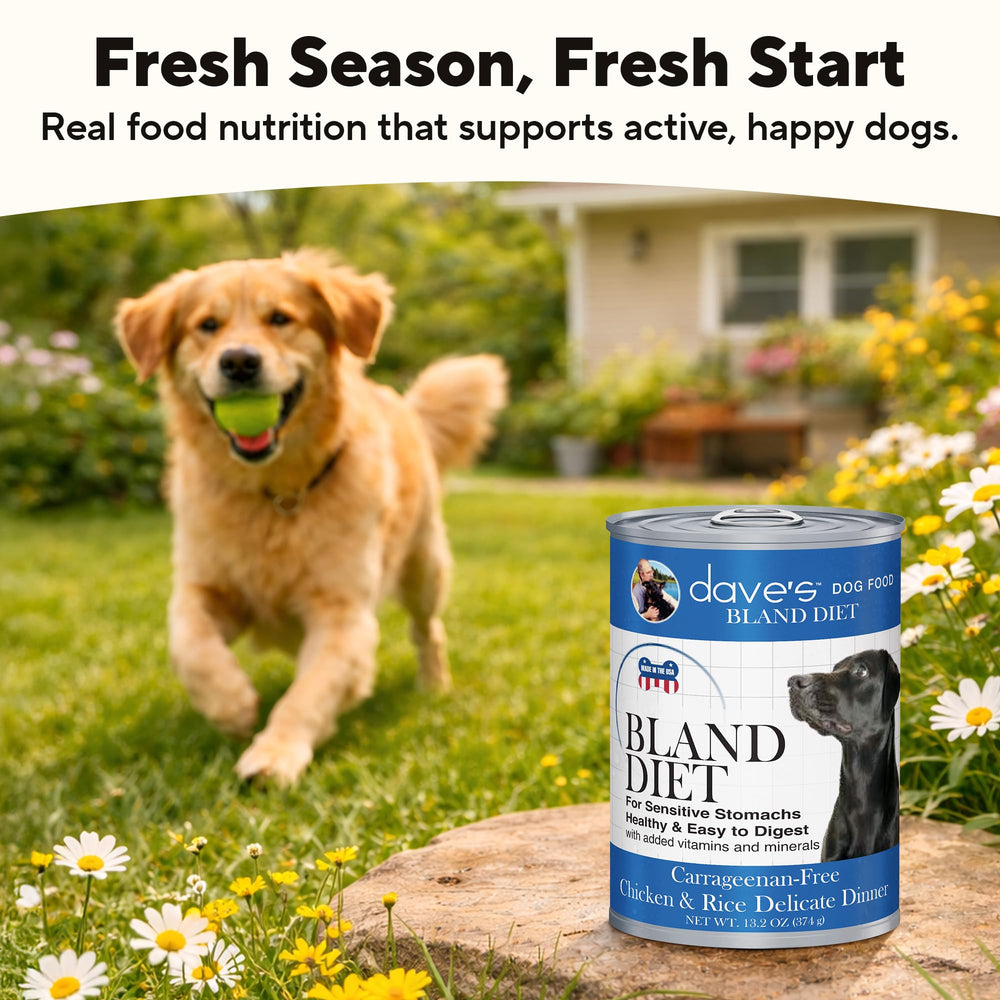 Comparaison de taille d'une boîte Dave's Pet Food 13,2 oz à une main, indique portion utile