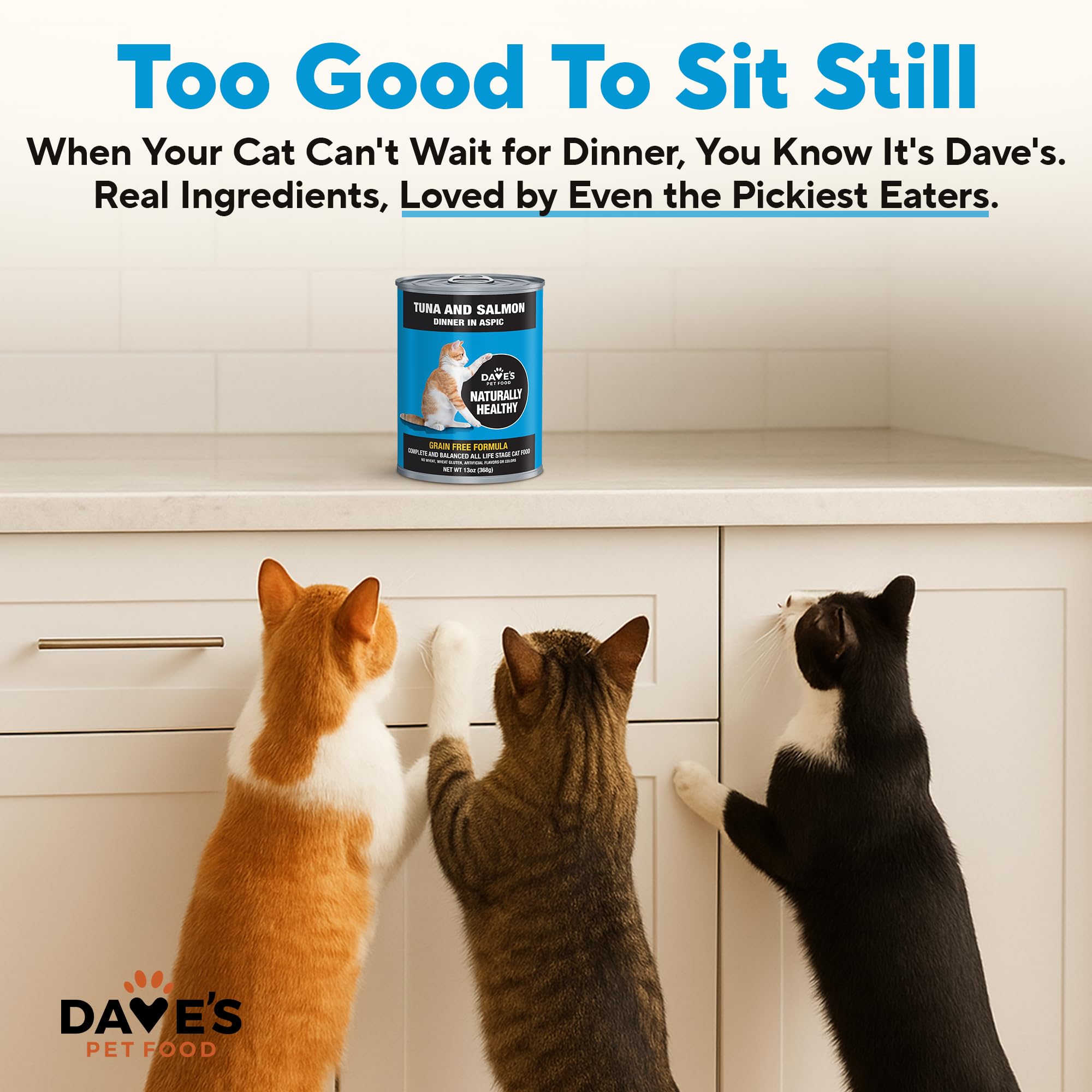 Dave's Pet Food étiquette nutrition lisible avec vitamines et AAFCO