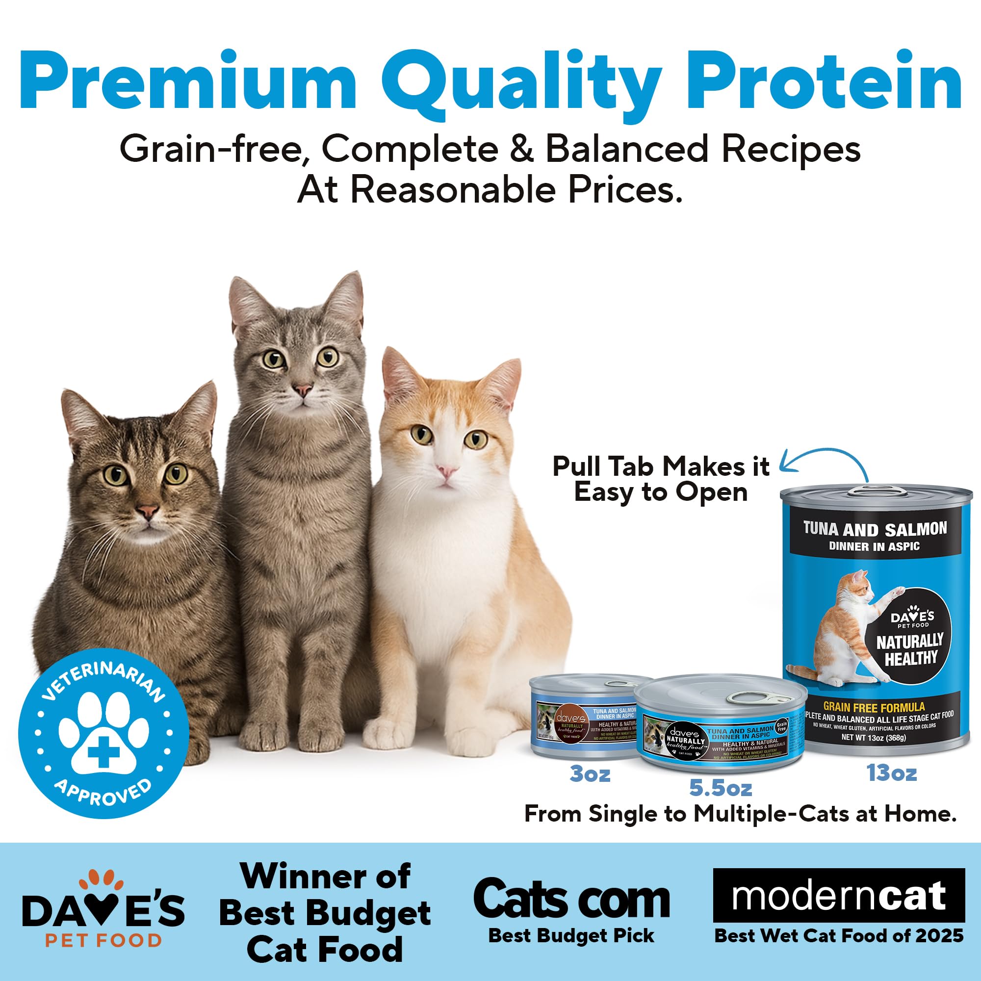 Dave's Pet Food gros plan aspic illustrant aspect juteux et hydratant