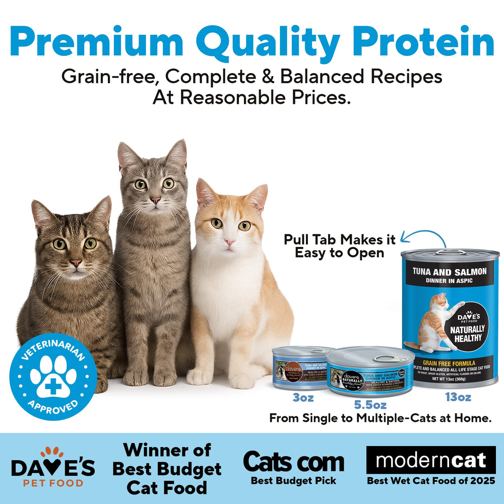 Dave's Pet Food gros plan aspic illustrant aspect juteux et hydratant