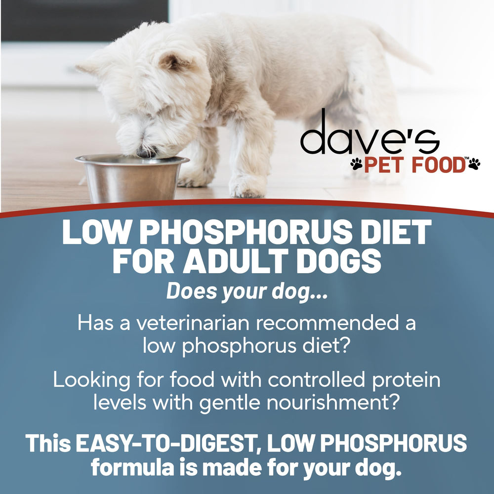 Dave's Pet Food ingrédients vrais poulet et carottes favorisant digestibilité