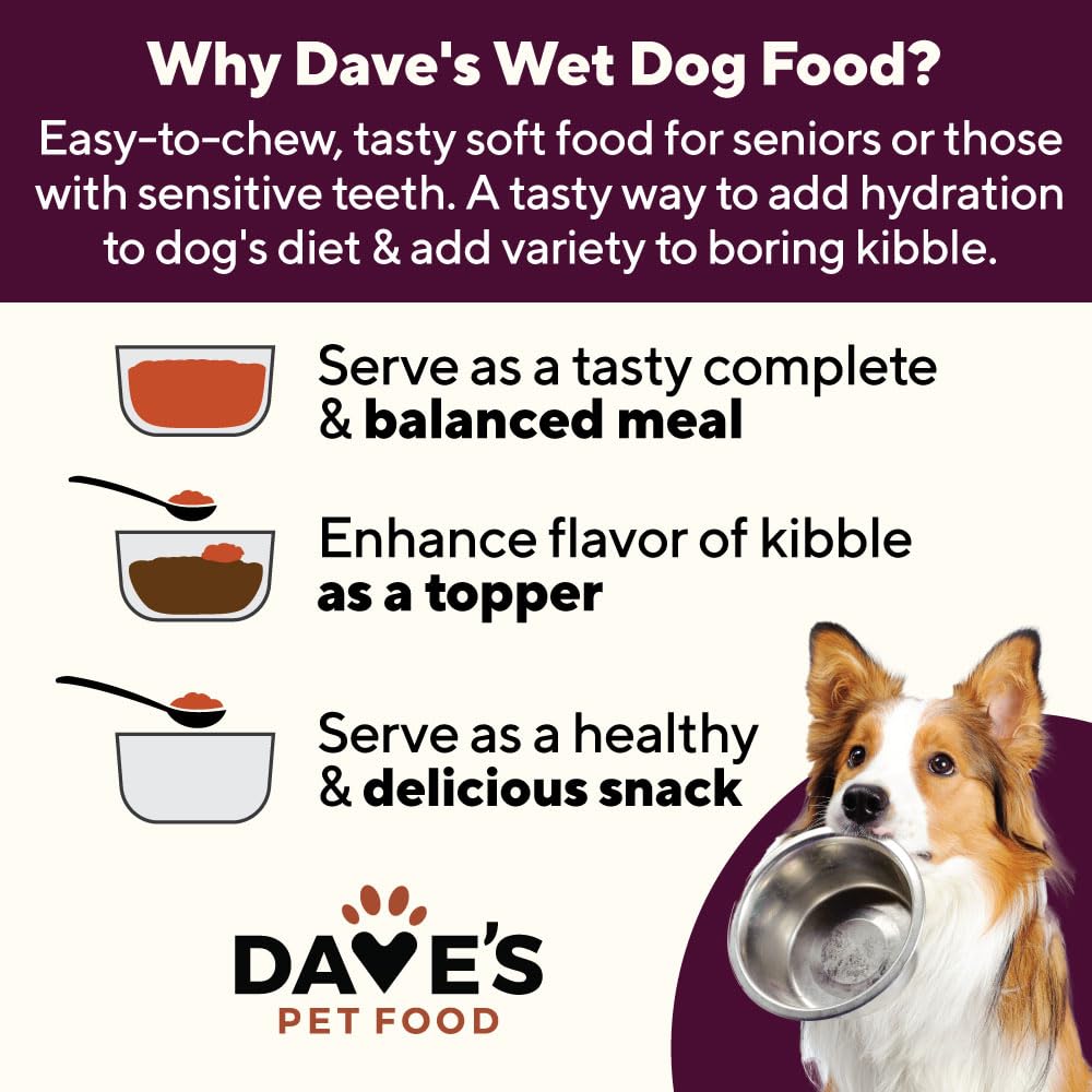 Dave's Pet Food repas posé sur table dans salon montrant usage quotidien domestique