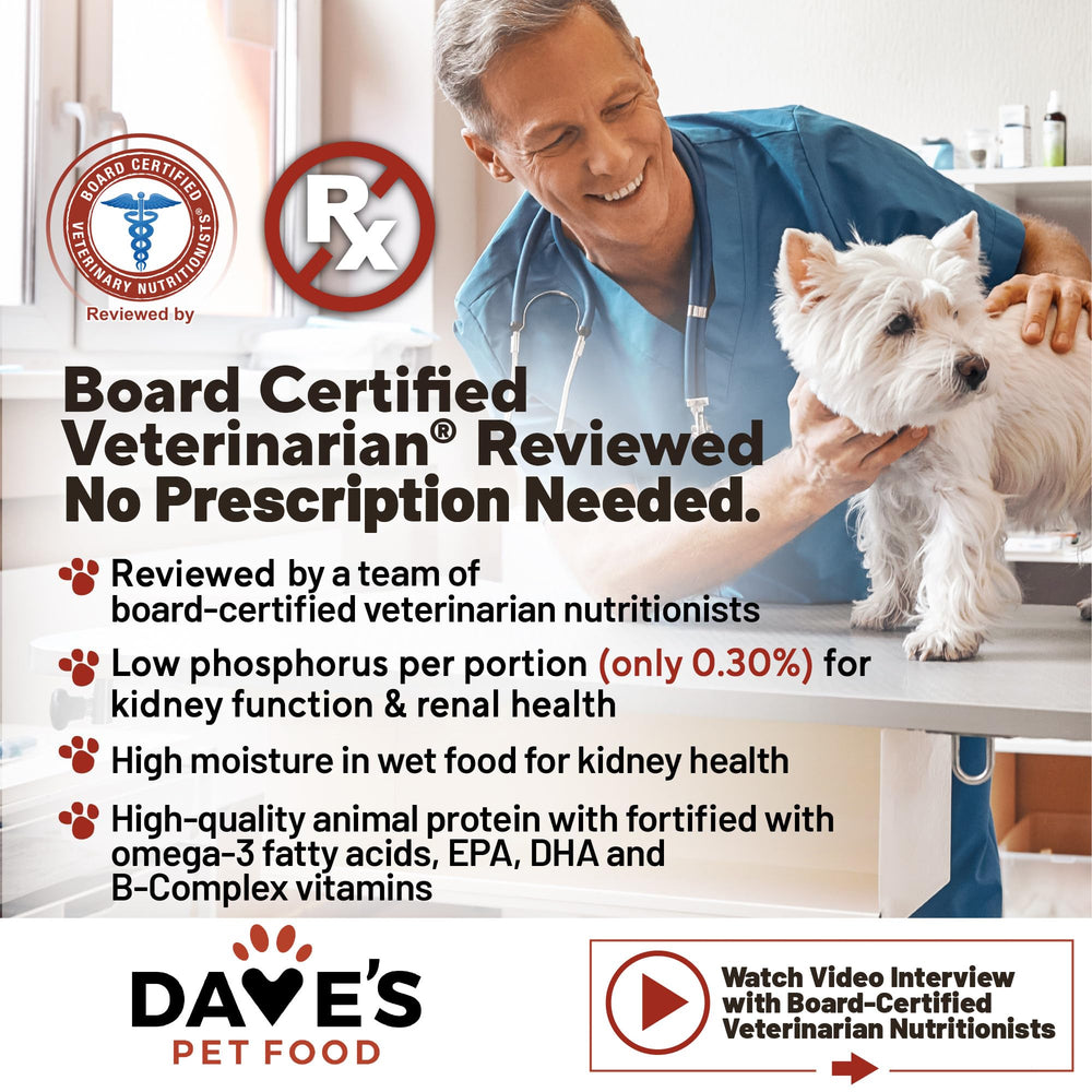 Dave's Pet Food boîte ouverte révélant ragoût humide appétent bénéfique
