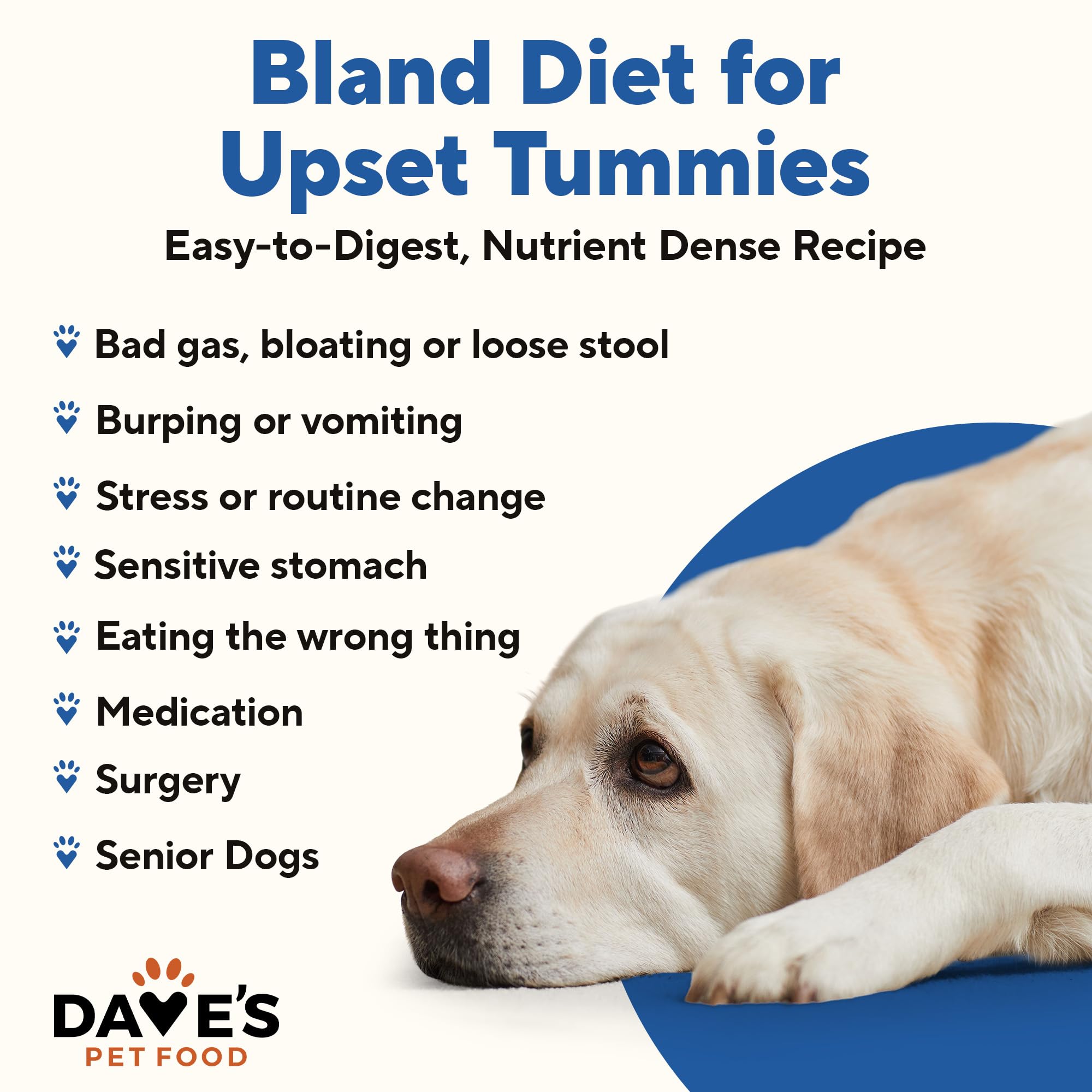 Dave's Pet Food boîte ouverte révélant la pâté prête à servir, facilite les repas