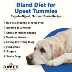 Dave's Pet Food boîte ouverte révélant la pâté prête à servir, facilite les repas