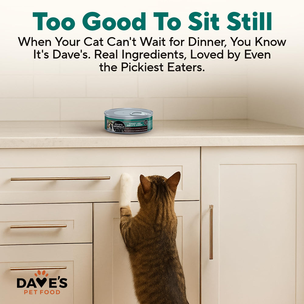 Dave's Pet Food canette ouverte révélant pâté appétissante prête à servir