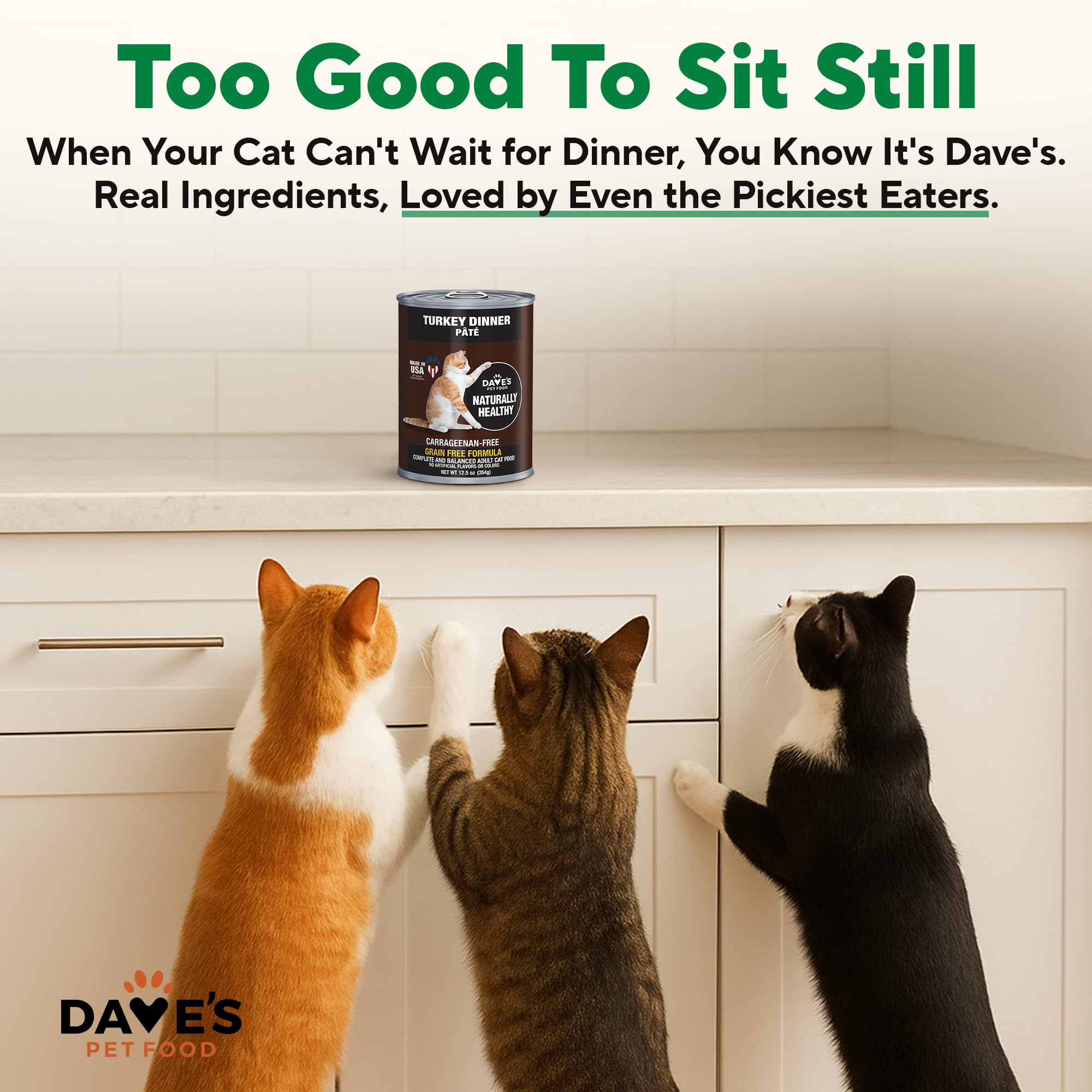 Dave's Pet Food chat mange la pâtée démontrant appétence et hydratation