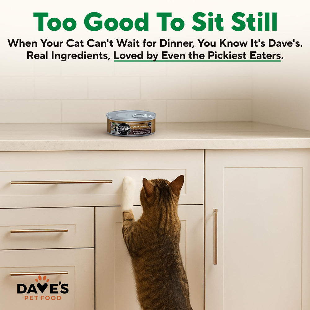 Dave's Pet Food boîtes côte à côte pour évaluer l'échelle et la quantité