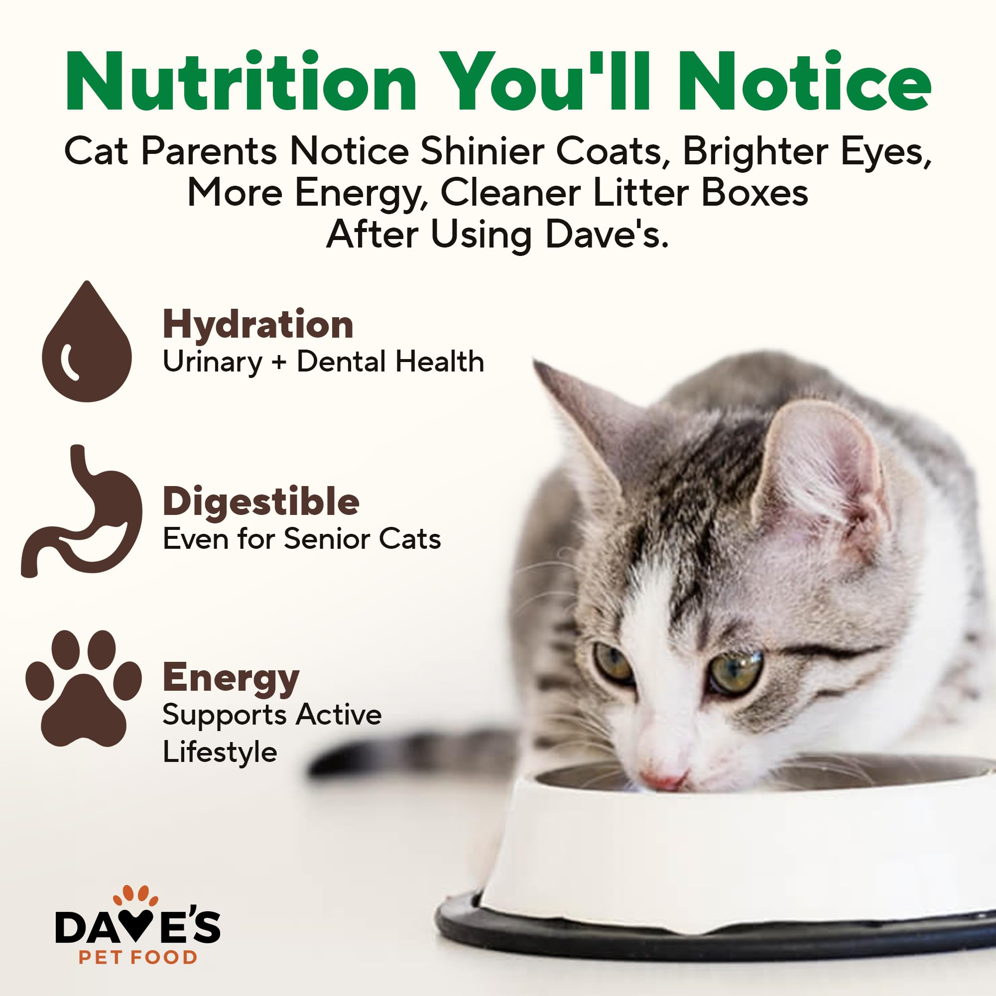 Dave's Pet Food pack de 12 boîtes offrant une réserve économique pratique