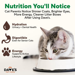 Dave's Pet Food pack de 12 boîtes offrant une réserve économique pratique