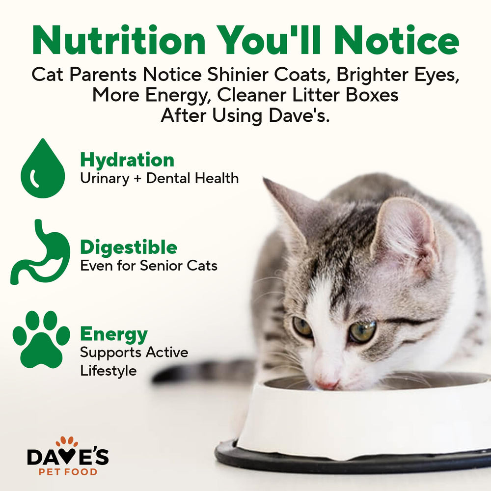 Dave's Pet Food pâté servie dans une assiette, facilite le repas