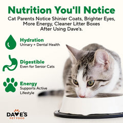 Dave's Pet Food pâté servie dans une assiette, facilite le repas