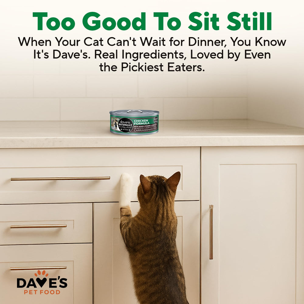 Dave's Pet Food boîte à côté d'un objet pour évaluer la taille