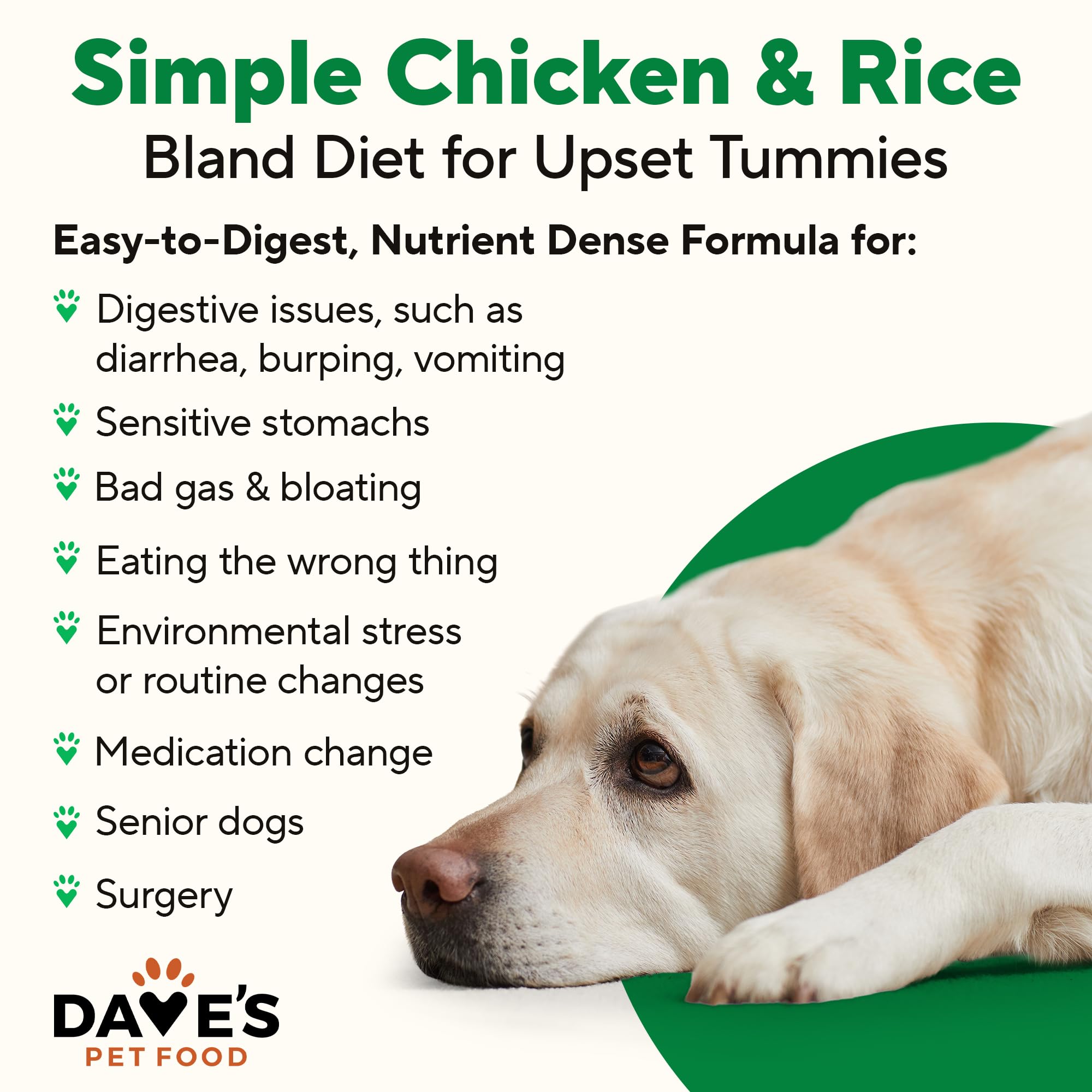 Dave's Pet Food gros plan sur la texture pâté facile à mâcher et digérer