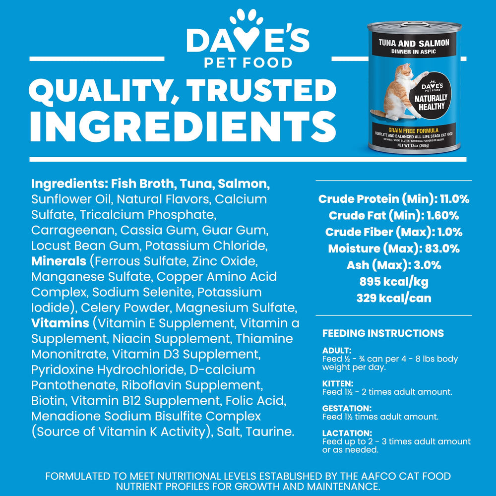 Dave's Pet Food portion dans une assiette servie à un chat satisfait
