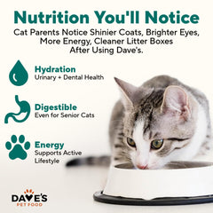 Dave's Pet Food portion servie dans une assiette pour contrôle ration