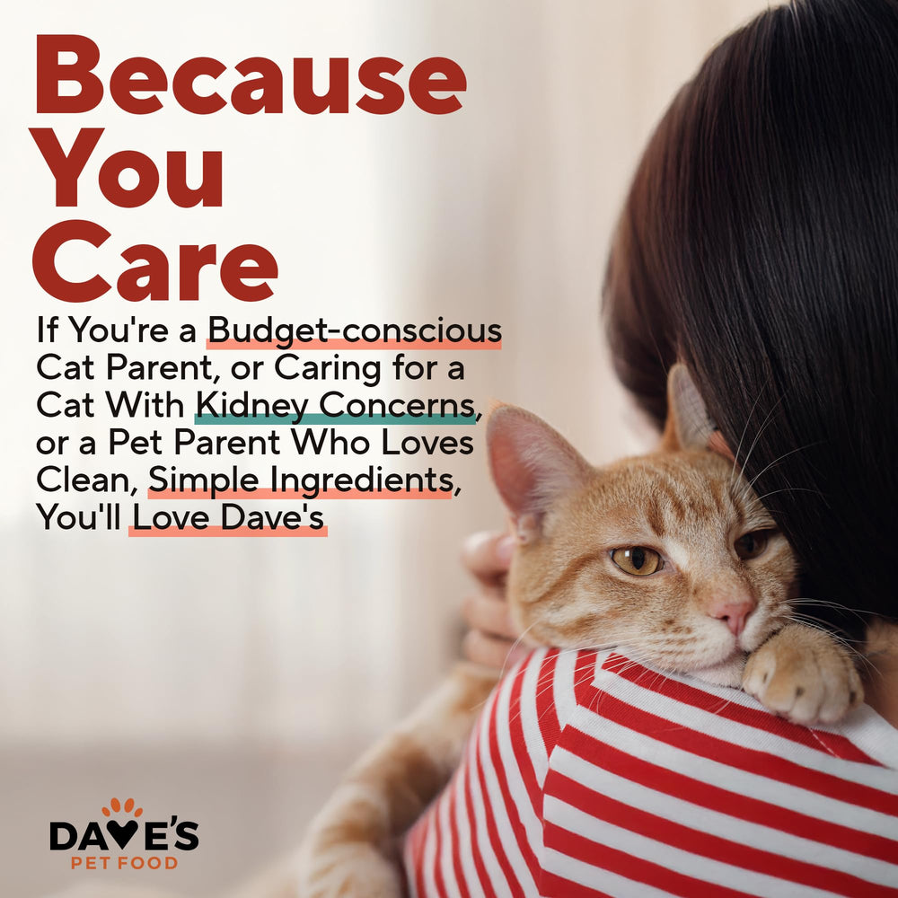 Dave's Pet Food chat en train de manger montrant acceptation et appétit retrouvé
