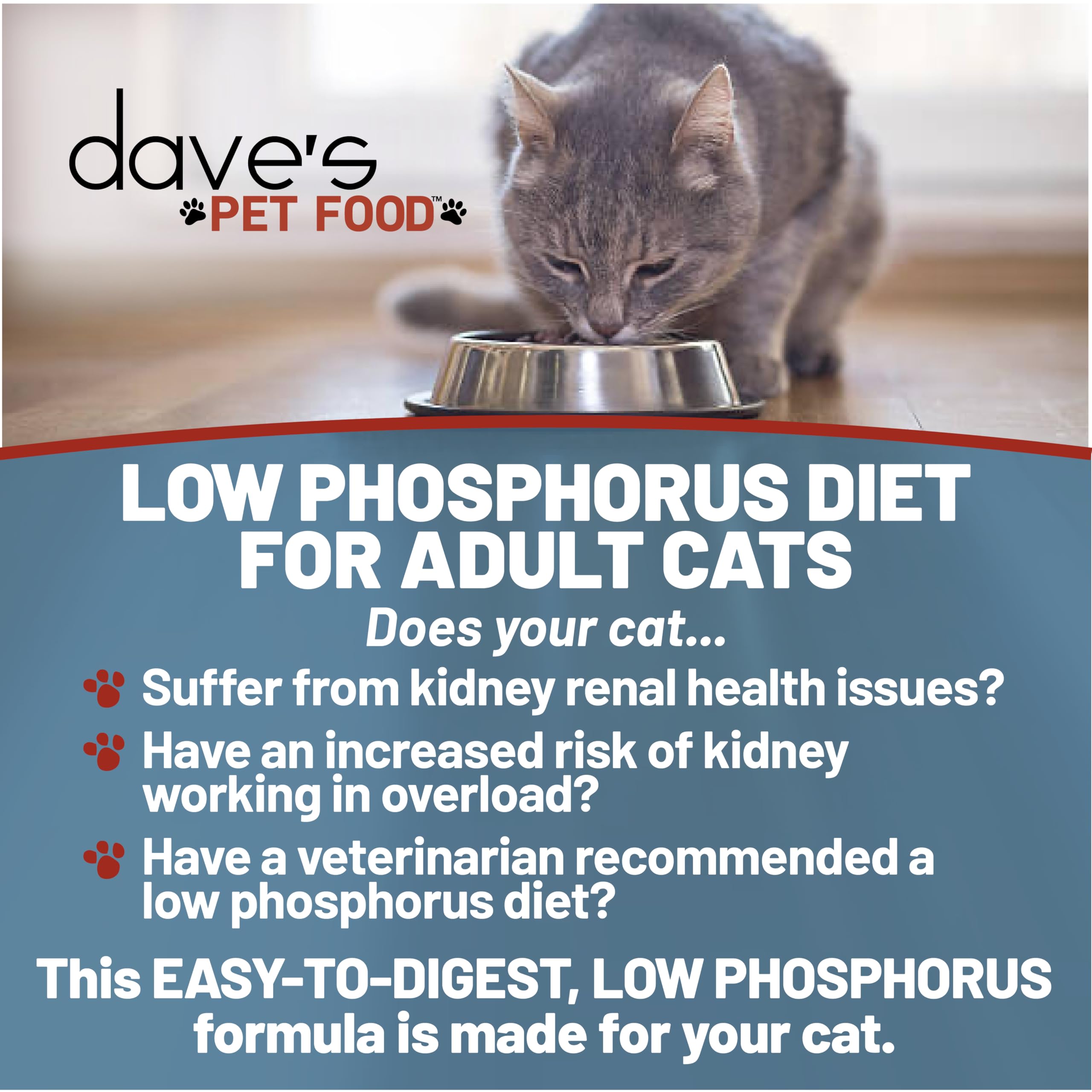 Dave's Pet Food ragoût ouvert montrant texture humide appétente pour chat