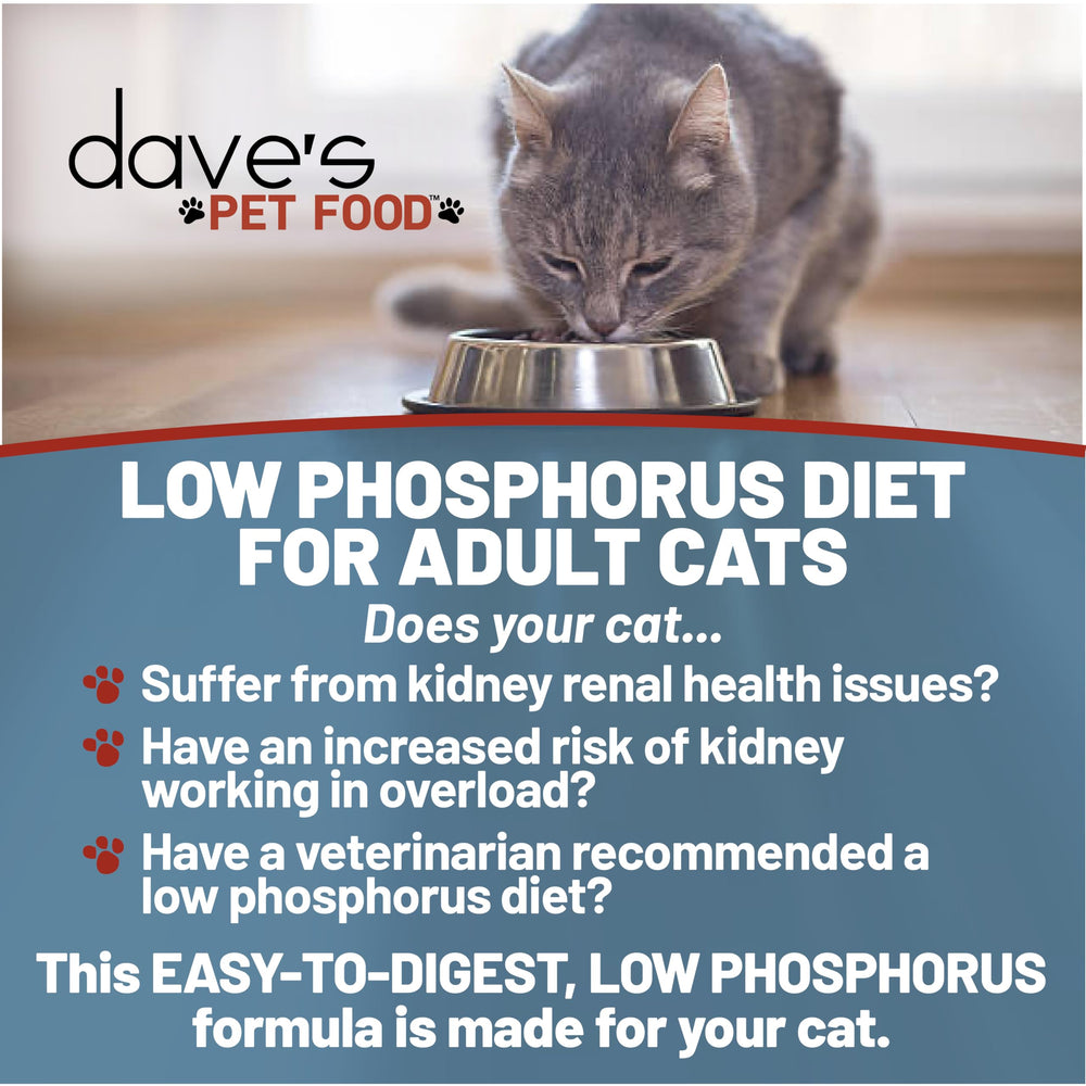 Dave's Pet Food ragoût ouvert montrant texture humide appétente pour chat