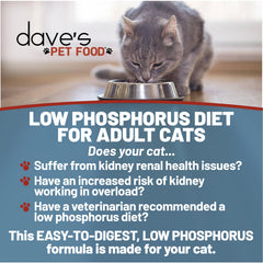 Dave's Pet Food ragoût ouvert montrant texture humide appétente pour chat