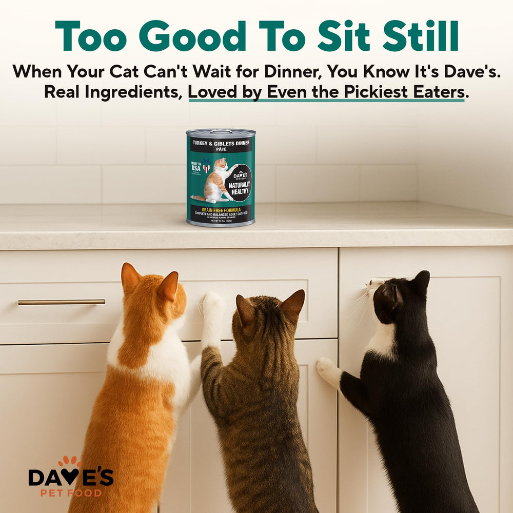 Dave's Pet Food comparaison taille boîte pour évaluer quantité