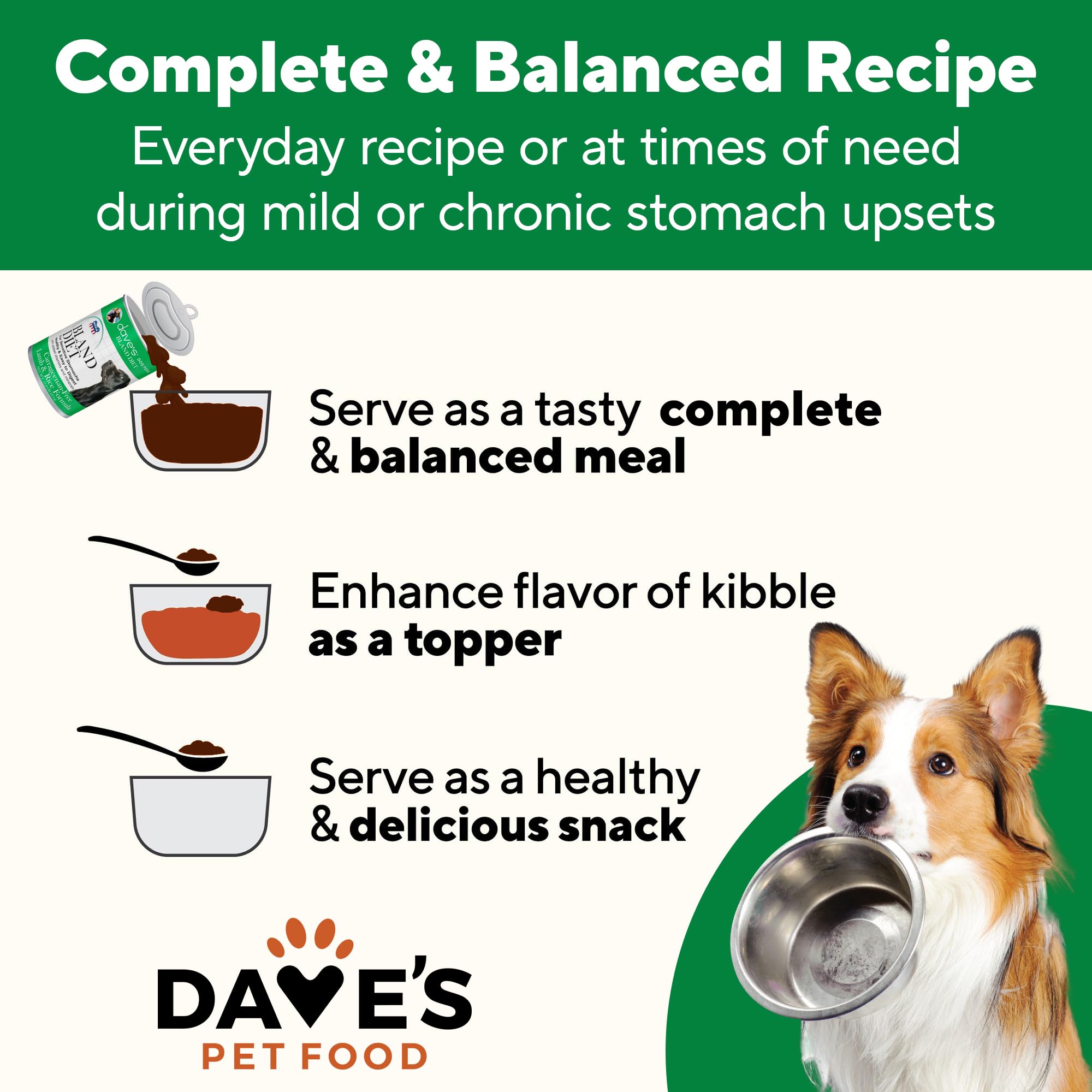 Dave's Pet Food emballage montré dans un cadre clinique pour usage vétérinaire