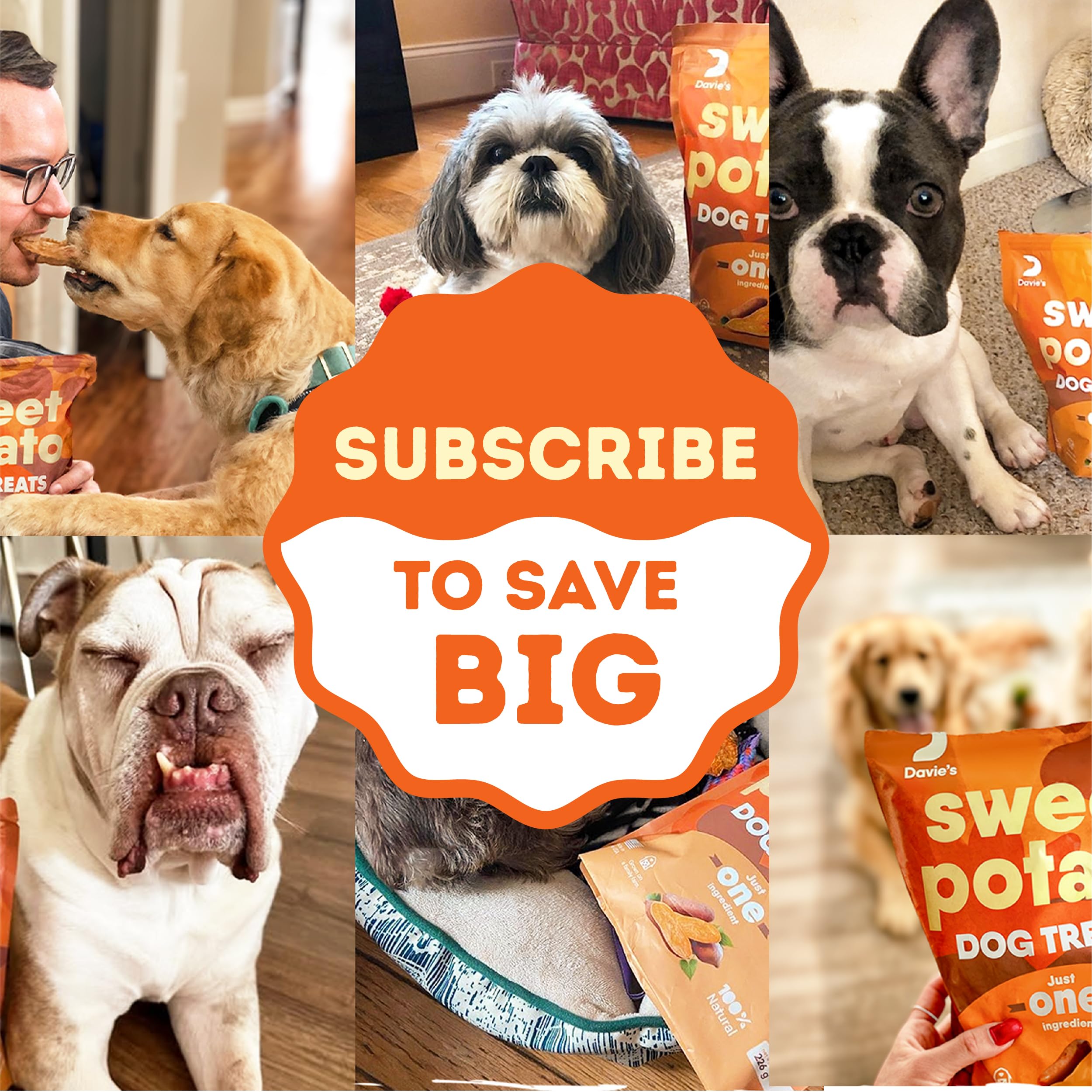 Davie's Naturals chien mordillant la friandise content et stimulé