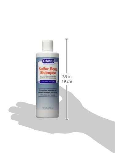 Application du shampooing Davis sur chien illustrant nettoyage en profondeur bénéfice pelage sain