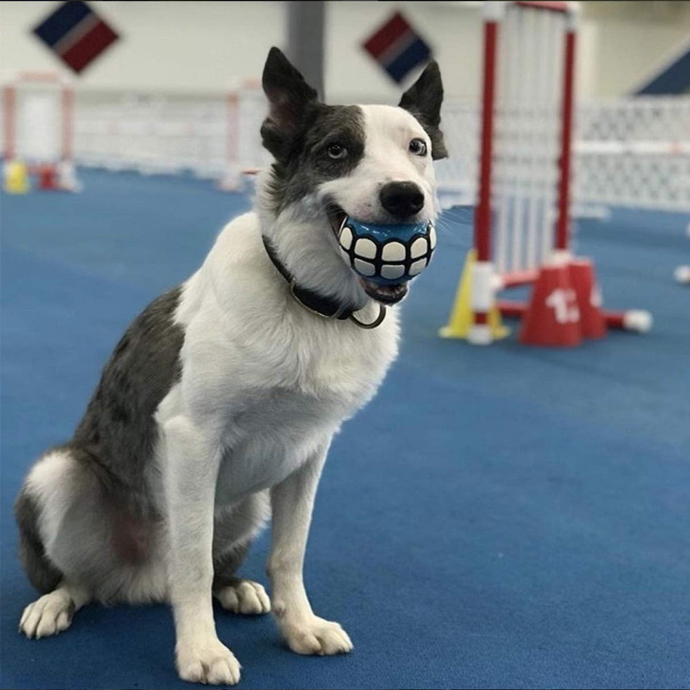 Dawg Grillz balle flottante sur l'eau idéale pour jeux aquatiques